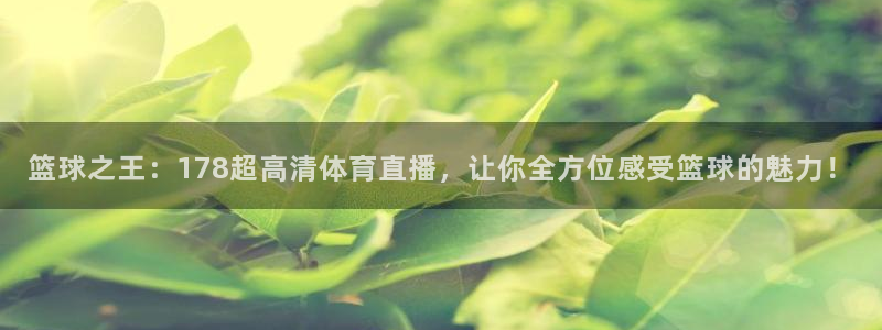 篮球之王：178超高清体育直播，让你全方位感受篮球的魅力！