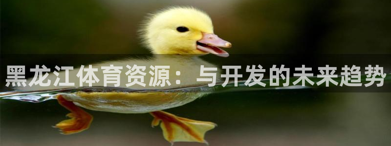 黑龙江体育资源：与开发的未来趋势