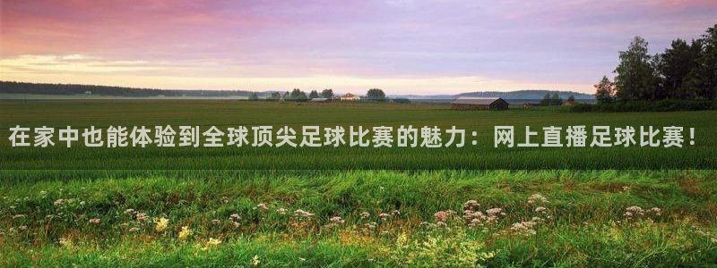 在家中也能体验到全球顶尖足球比赛的魅力：网上直播足球比赛！